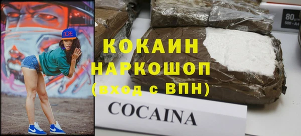 винт Бородино