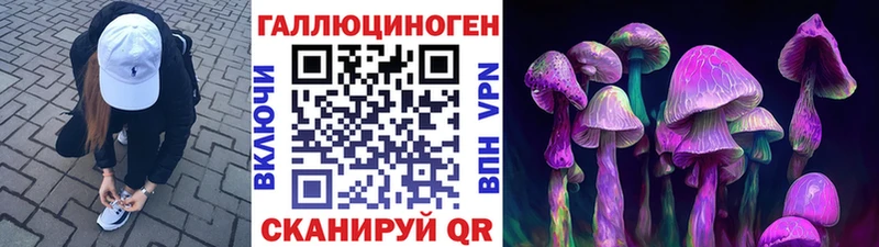 Галлюциногенные грибы Psilocybe  мориарти телеграм  Гатчина 